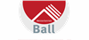 Ball Zimmerei + Bedachungen GmbH & Co.KG